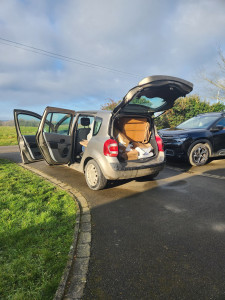 Photo de galerie - Évacuation de cartons volumineux