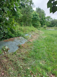 Photo de galerie - Jardinier