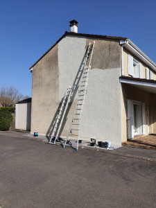 Photo de galerie - Peinture - Tapisserie