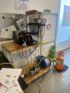 Photo de galerie - Attestation capacité fluide 