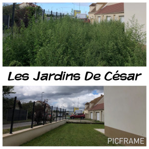 Photo de galerie - Remise en état 