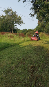 Photo de galerie - Entretien de terrain 
