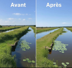 Photo de galerie - Tonte de pelouse - Débroussaillage