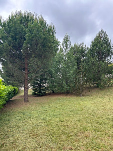 Photo de galerie - Après