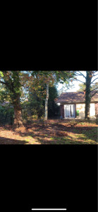 Photo de galerie - Nettoyage jardin avant intervention 