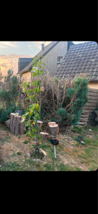 Photo de galerie - Jardinier