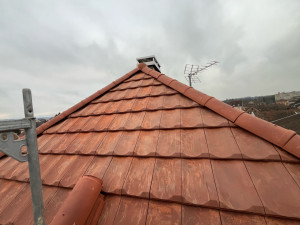 Photo de galerie - Croupe refaite à neuf