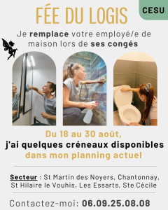 Photo de galerie - Ménage remplacement 