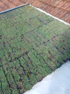 Photo de galerie - Bricolage et multi services