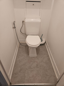 Photo de galerie - Installation d'une nouvelle chasse d'eau et douchette.