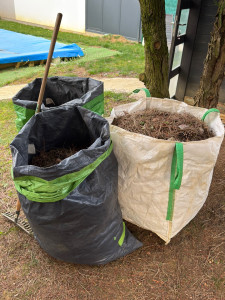 Photo de galerie - évacuation des feuilles et épines 