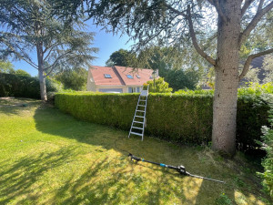 Photo de galerie - Taille de haies