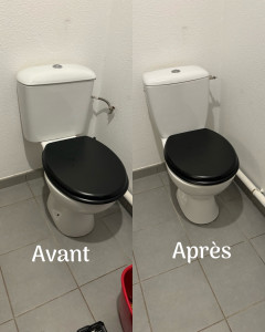 Photo de galerie - Remplacement de l’ancien WC