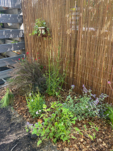 Photo de galerie - Creation massif 