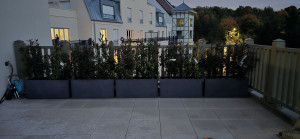 Photo de galerie - Paysagiste - Aménagement du jardin