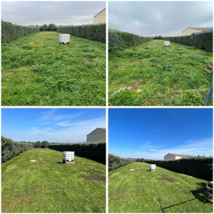 Photo de galerie - Debrouissaillage et tonte pelouse,avant et après 