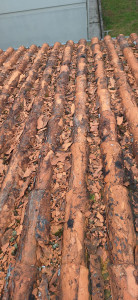 Photo de galerie - état d'une toiture non entretenu . pensé à votre toiture avant que sa ne coûte trop cher .