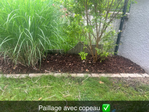 Photo de galerie - Paysagiste - Aménagement du jardin