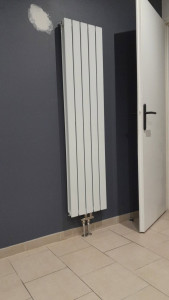 Photo de galerie - Ajout d'un radiateur vertical sur le réseau avec raccordement sur l'alimentation chauffage en caves.