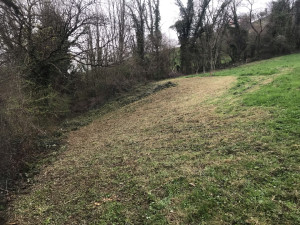 Photo de galerie - Débroussaillage d un pré remplis de ronce 