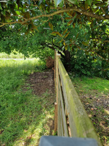 Photo de galerie - Clôture Grillage