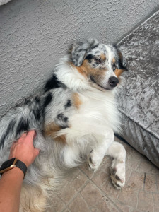 Photo de galerie - Moment détente 