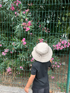 Photo de galerie - Je vous aide à garder vos bébés 