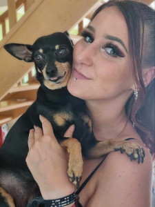 Photo de galerie - Garde chien
