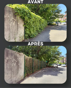 Photo de galerie - Taille de haies et d'arbustes