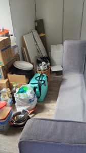 Photo de galerie - Aide au déménagement très rapide 
