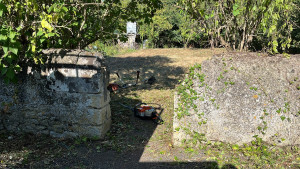 Photo de galerie - Tonte de pelouse - Débroussaillage