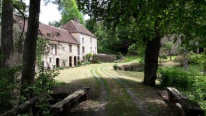 Photo de galerie - Tonte de pelouse - Débroussaillage