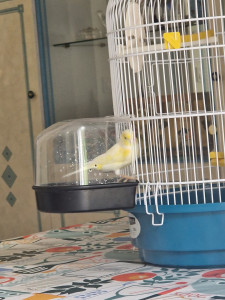 Photo de galerie - Garde animaux