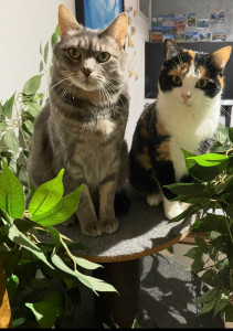 Photo de galerie - Bébou et Twiny 