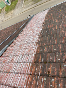 Photo de galerie - Traitement anti mousse 