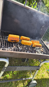 Photo de galerie - Bbq chez l'habitant + serveuse 