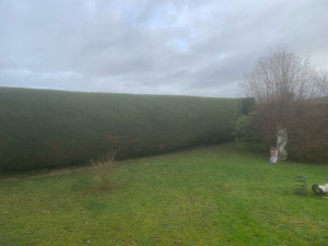 Photo de galerie - Talle de haie 