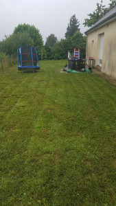 Photo de galerie - Tonte de pelouse - Débroussaillage