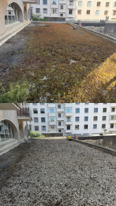 Photo de galerie - Démoussage de terrasse 