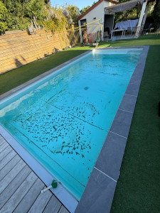 Photo de galerie - Entretien piscine