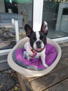 Photo de galerie - Garde à domicile 