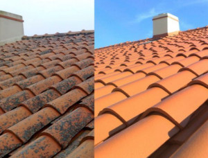 Photo de galerie - .