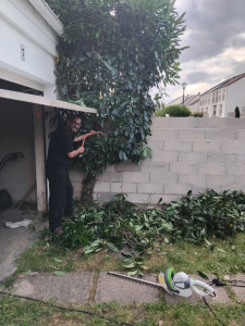 Photo de galerie - Paysagiste - Aménagement du jardin