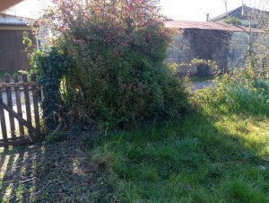 Photo de galerie - Jardinier