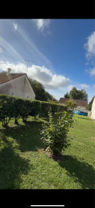 Photo de galerie - Tonte de pelouse - Débroussaillage