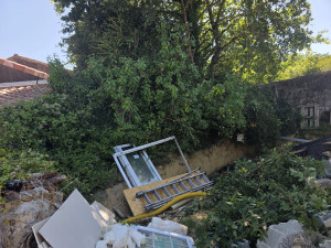 Photo de galerie - Elagage et coupe d'arbres