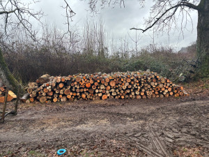 Photo de galerie - Bois / Bois de chauffage / Bastaing