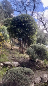 Photo de galerie - Jardinier