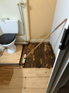 Photo de galerie - Pose de parquet - Revêtement de sol