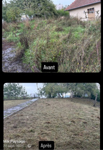 Photo de galerie - Tonte de pelouse - Débroussaillage